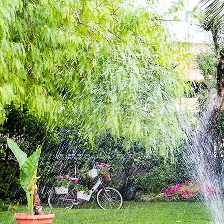 Almi Alojamento de Acomodação e Pequeno-almoço